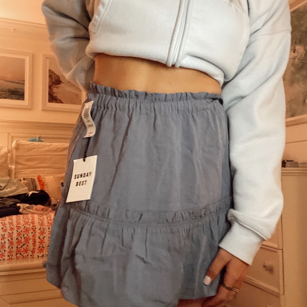 Aritzia Skirt (TNA BRAND)